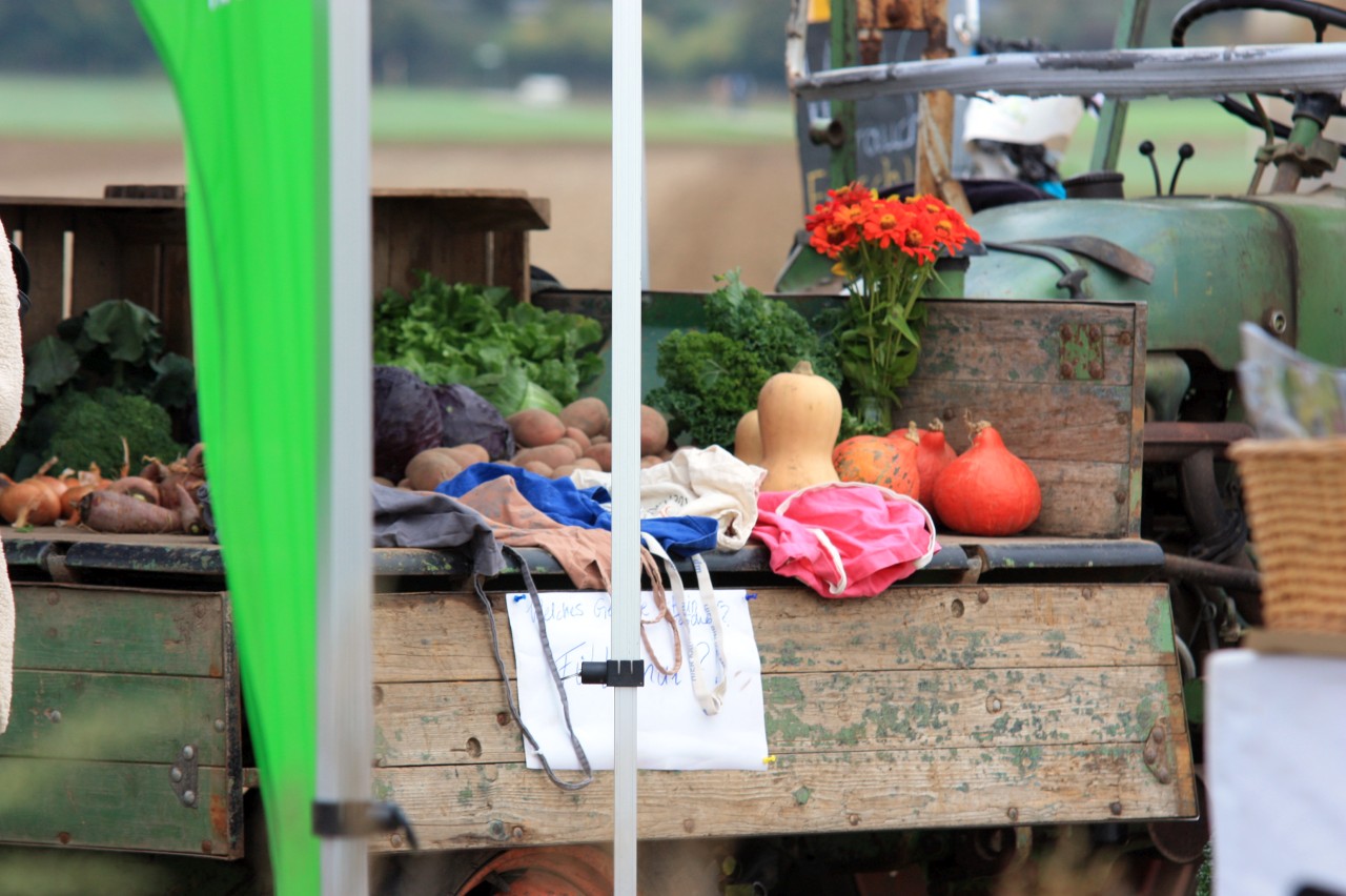 251011_SoLaWi-Stand_1328