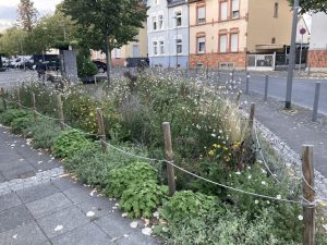 Abpflastern-Vorgarten-bepflanzt_Blaensdorf-300dpi