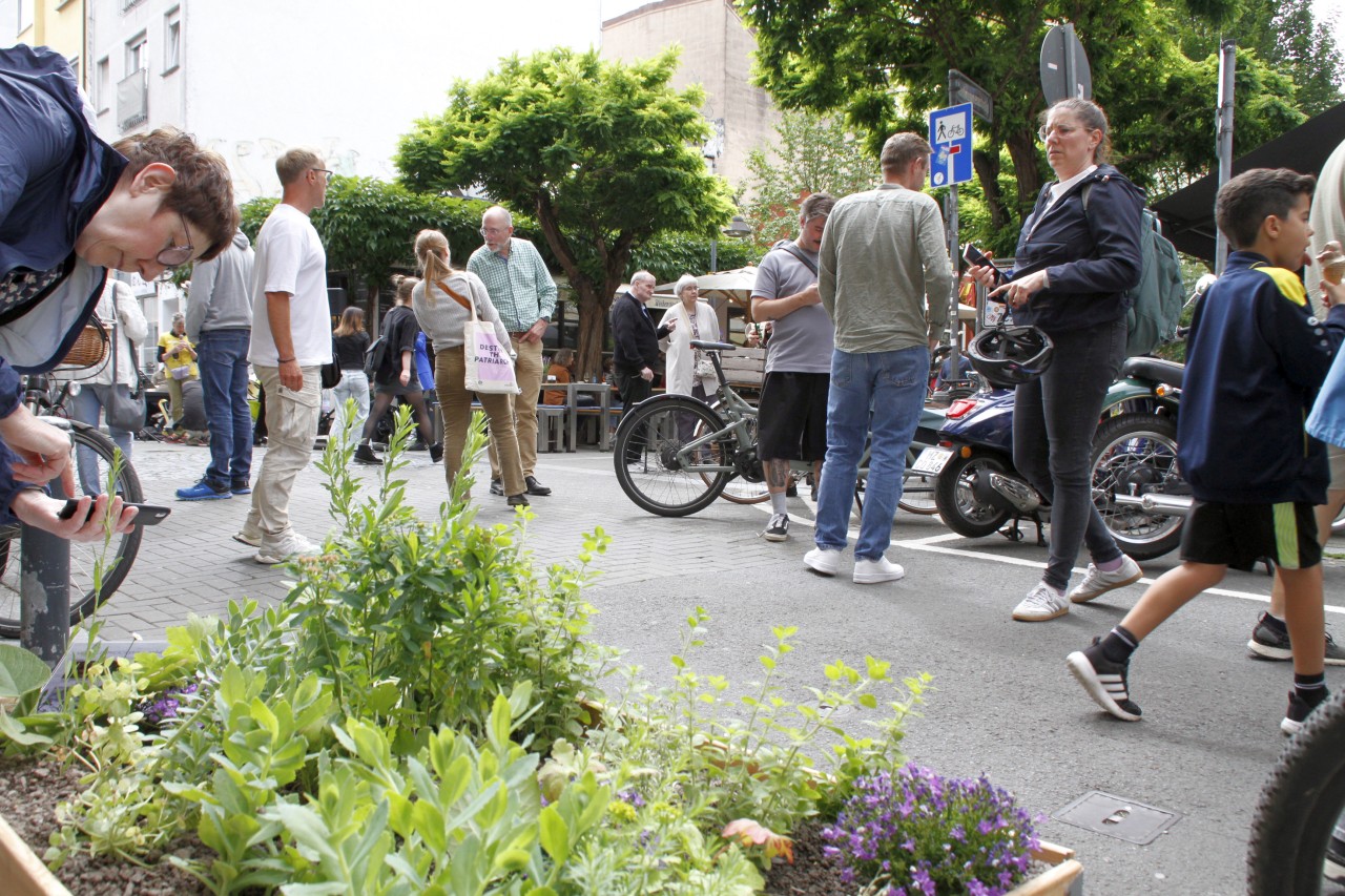 260603_Pflanzkuebel_4884