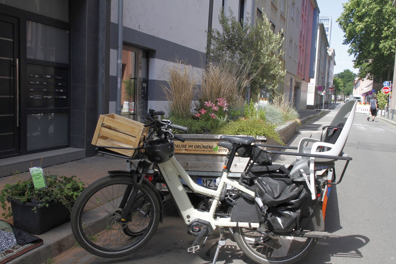 260607_Gruenanhaenger_5294